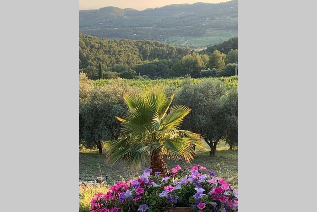 La Venturonne Appartement Neuf Rez De Jardin 45 M2 Vue Mer Et Vignes 10 Mn Des Plages 勒博塞 外观 照片