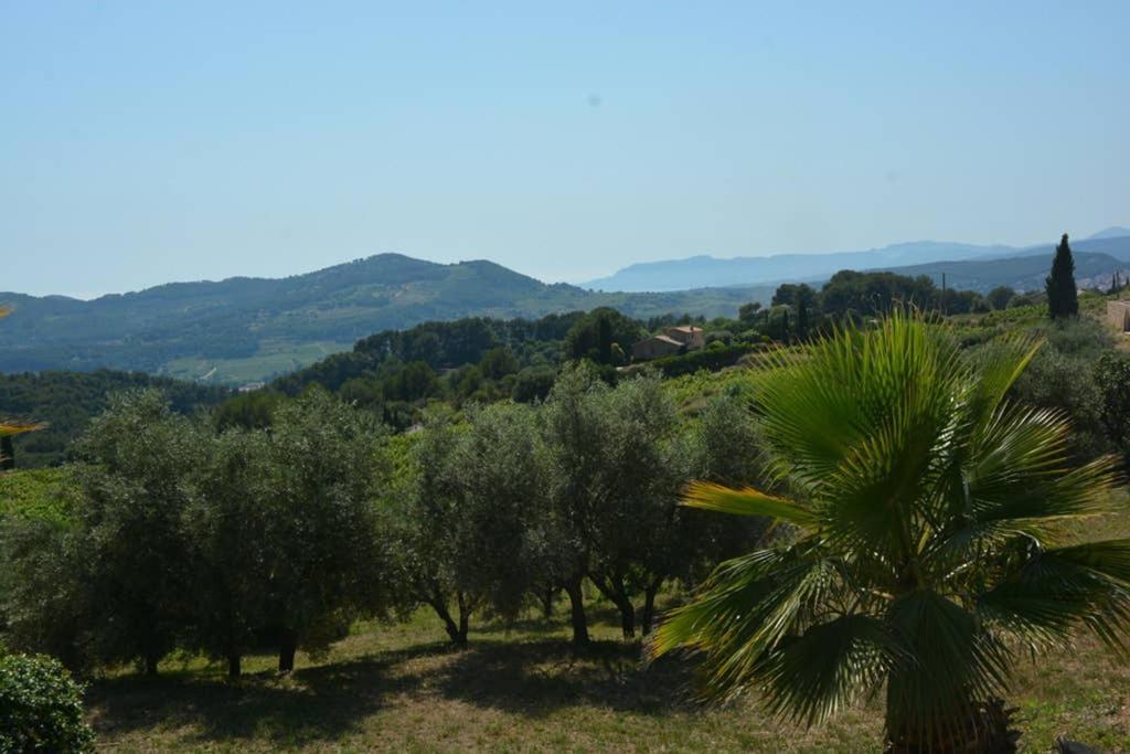 La Venturonne Appartement Neuf Rez De Jardin 45 M2 Vue Mer Et Vignes 10 Mn Des Plages 勒博塞 外观 照片